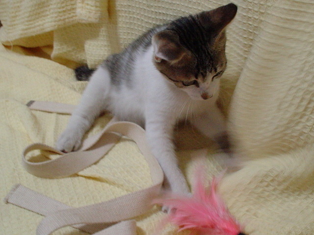 DSC00722