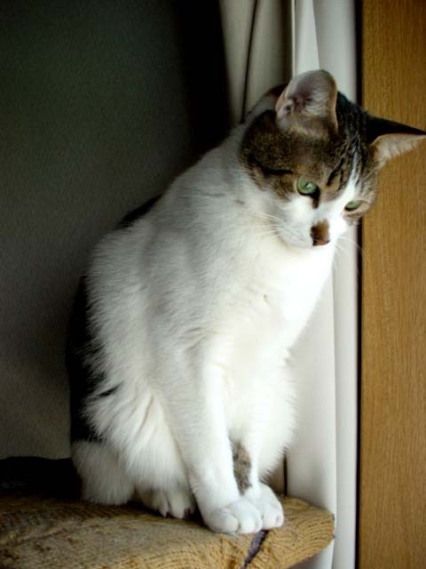DSC02339