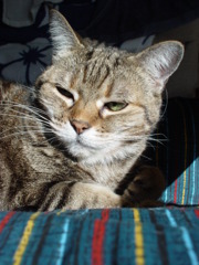 DSC04011