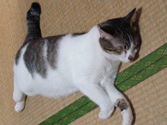 DSC01049