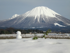 大山 376