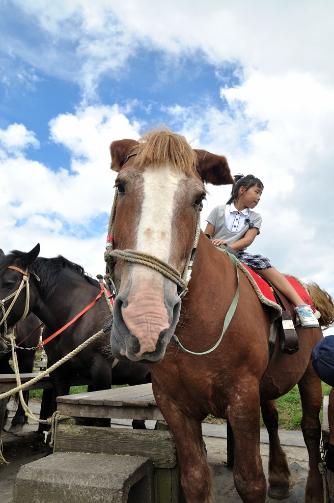 はじめての乗馬