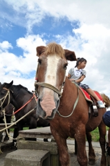 はじめての乗馬