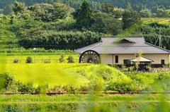 阿蘇山旅行