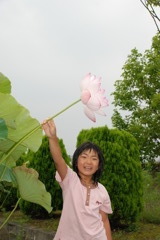蓮の花と私