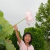 蓮の花と私