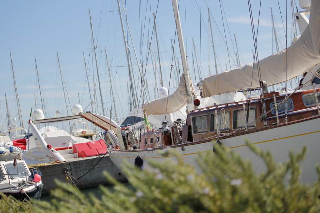 バカンスの思い出