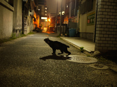 生き様