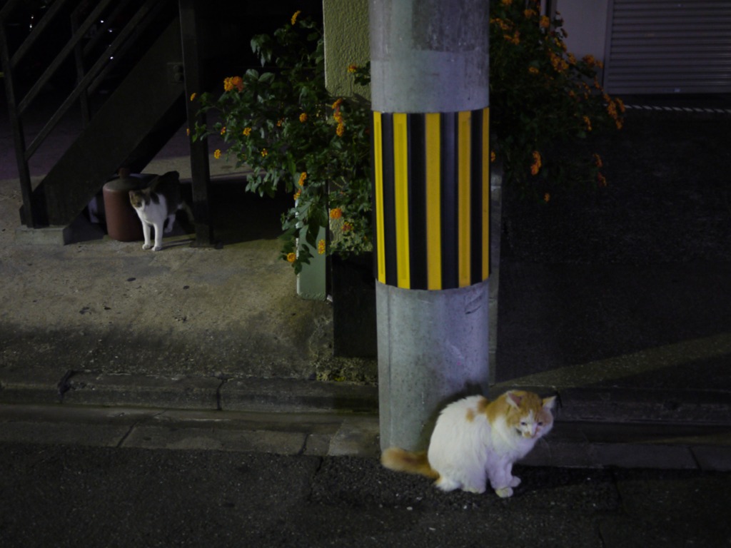 監視