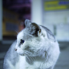 madhi