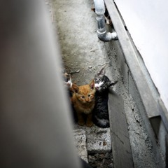ここにいれば大丈夫