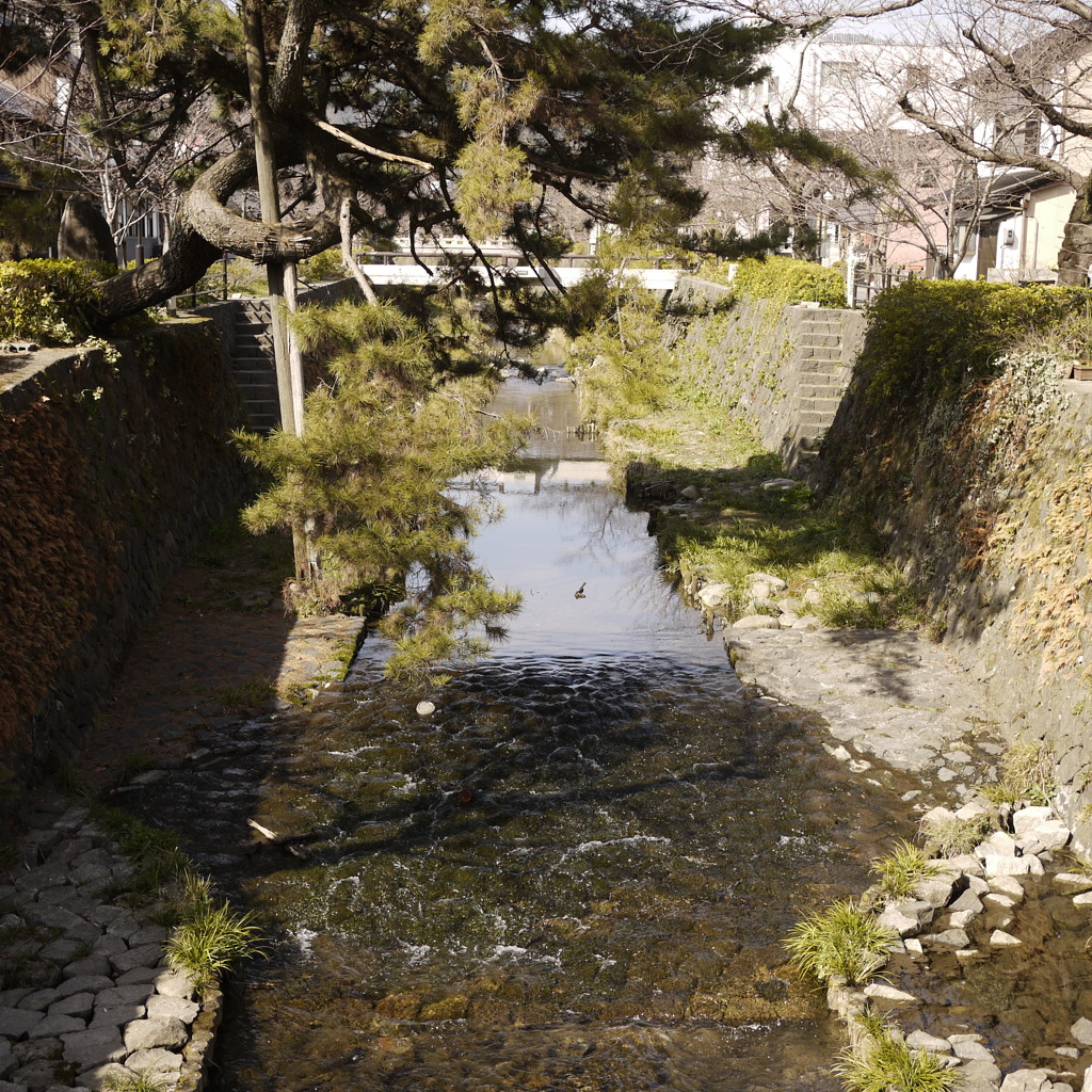 一の坂川