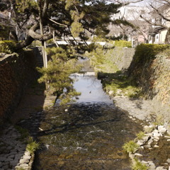 一の坂川