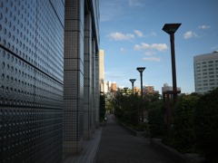 P1000264