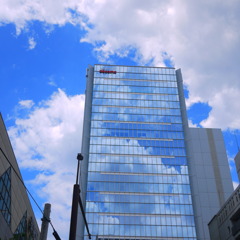 夏の報せ