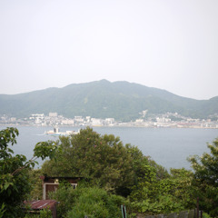 風を受けて