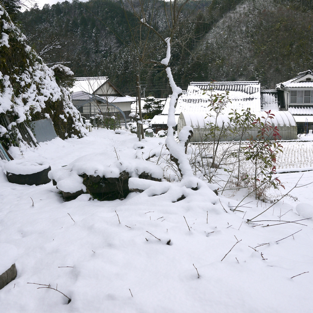雪景色