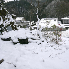 雪景色