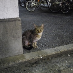 遭遇