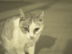少しだけ