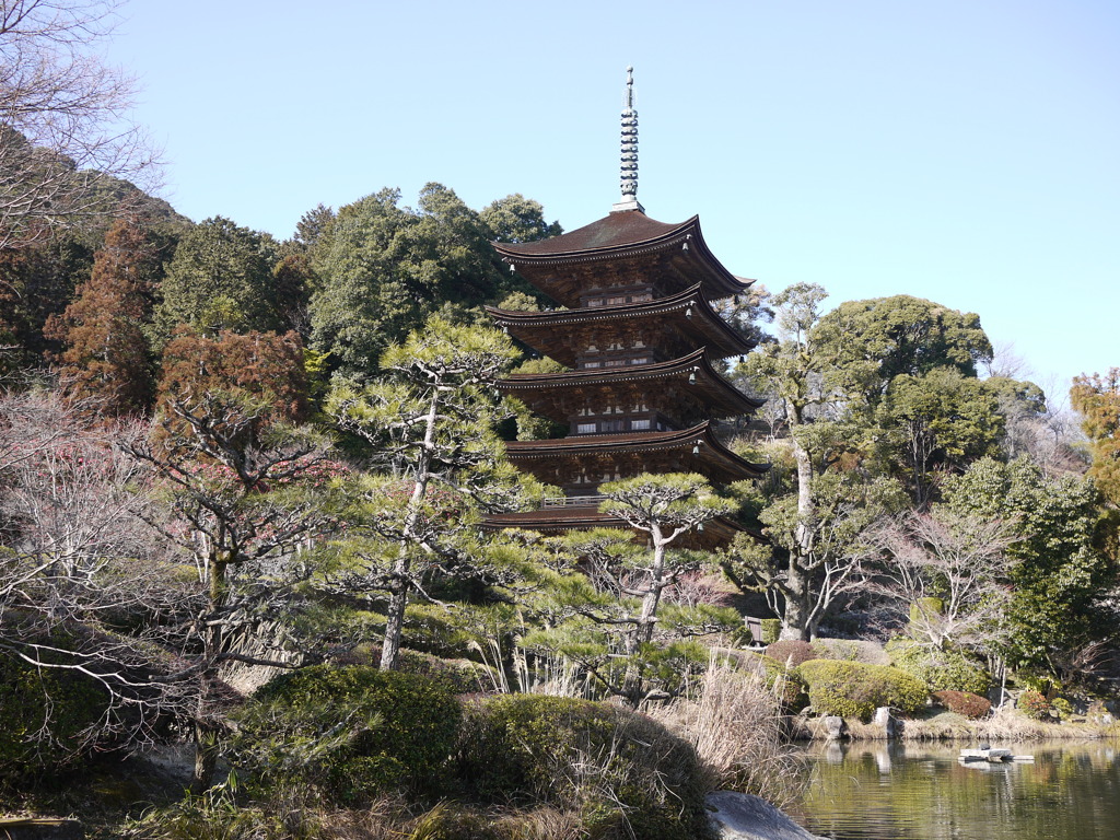 昔よく来た