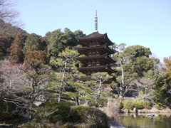 昔よく来た