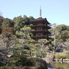 昔よく来た