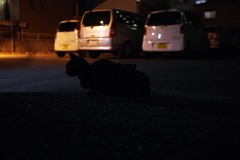 寄り添う姿