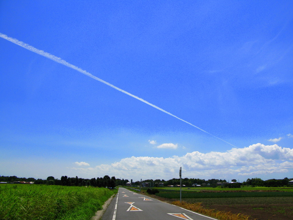飛行機雲