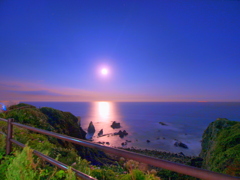 海月