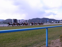 小倉競馬場