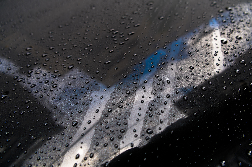 rain movement
