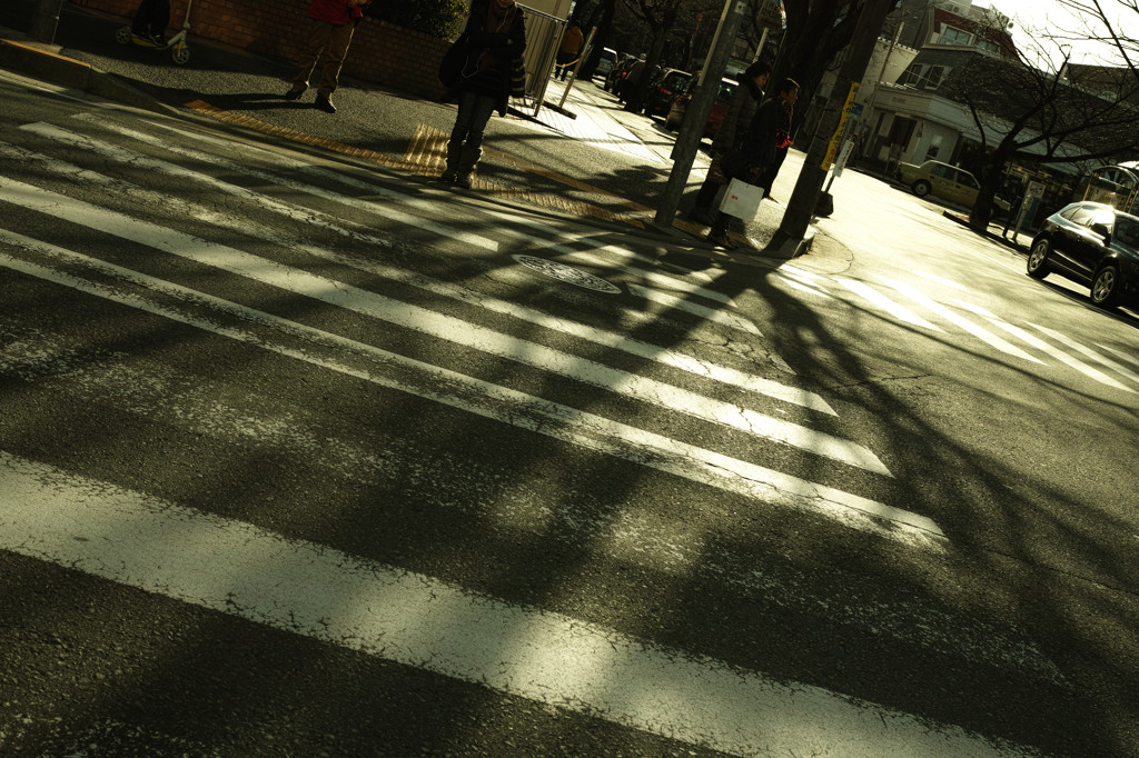 Shadow