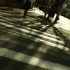 Shadow