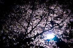 小夜