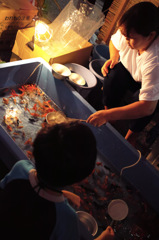 金魚