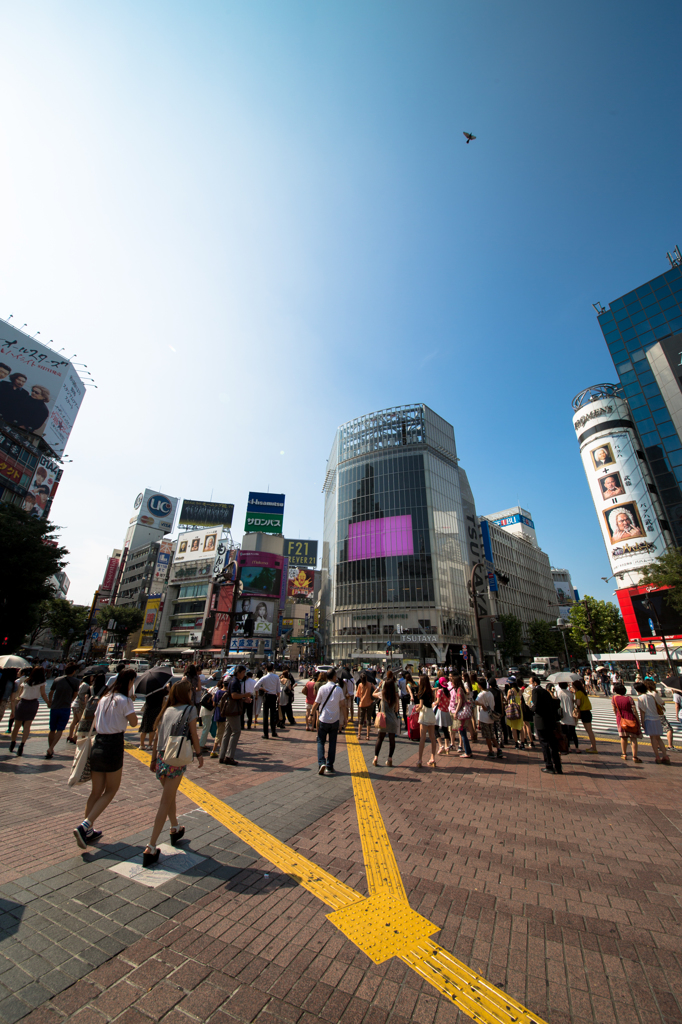 Shibuya Summer