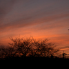 dawn