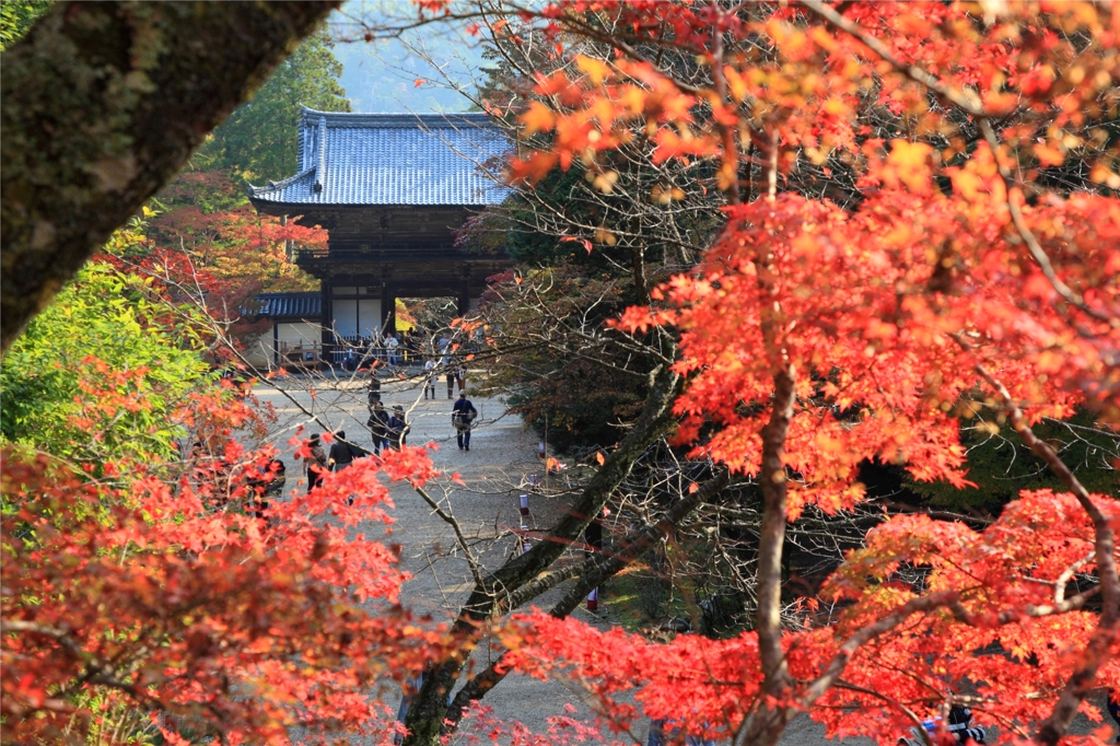 秋の山寺