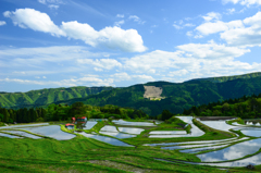 別宮の棚田