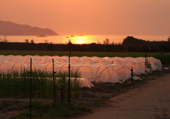 田園の夕暮れ