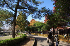 熊本動植物園①