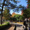 熊本動植物園①