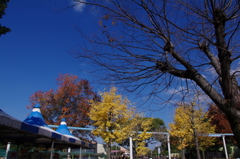 熊本動植物園②