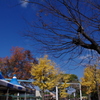 熊本動植物園②