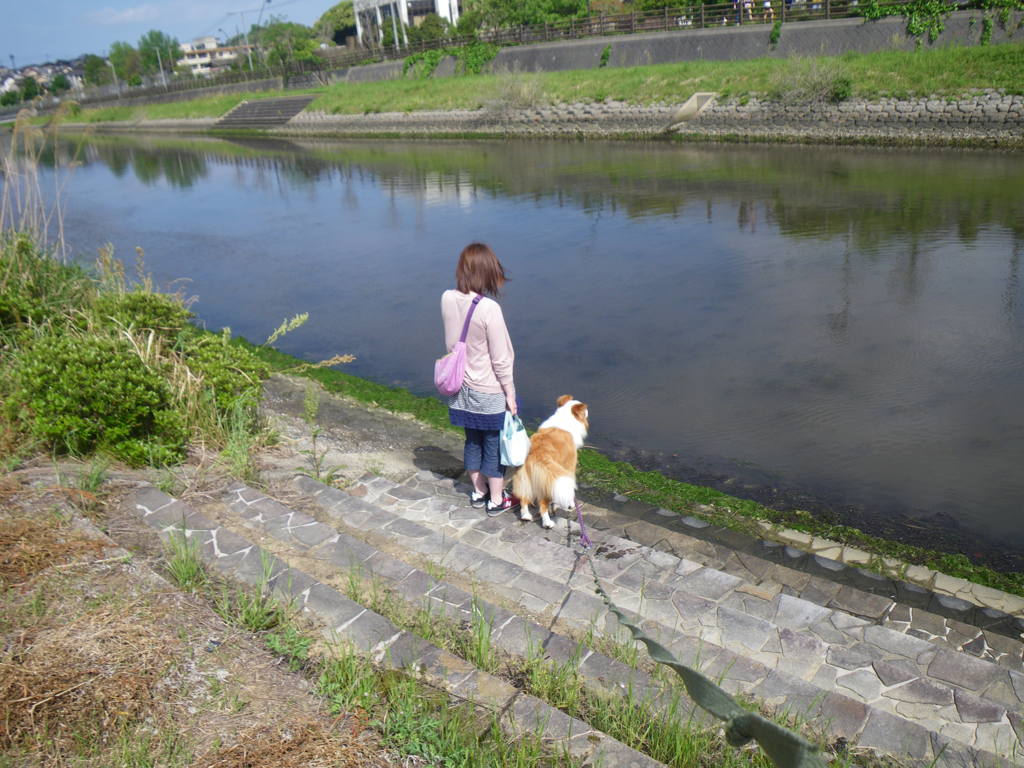 IMGP0003