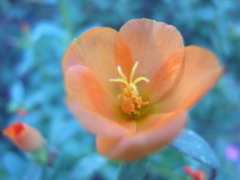 R0010083