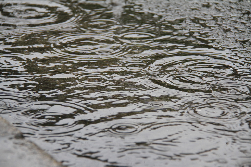 雨