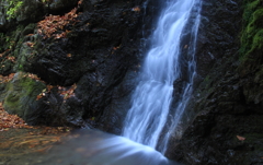 DPP_00042