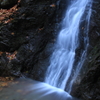 DPP_00042